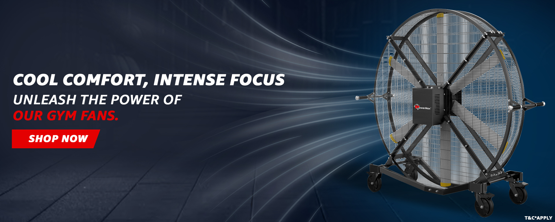 Gym Fan